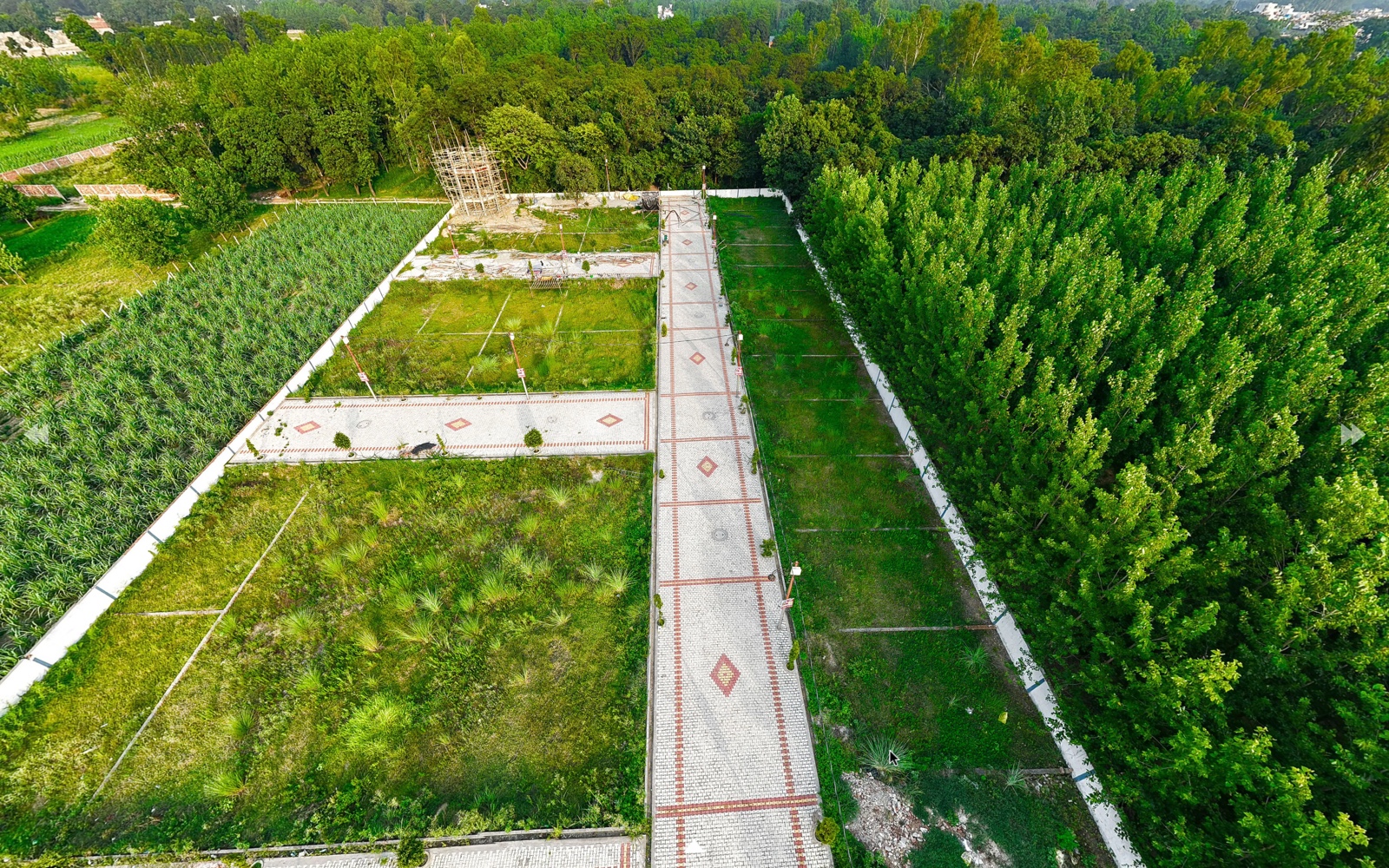 Aerial Layout Perspective