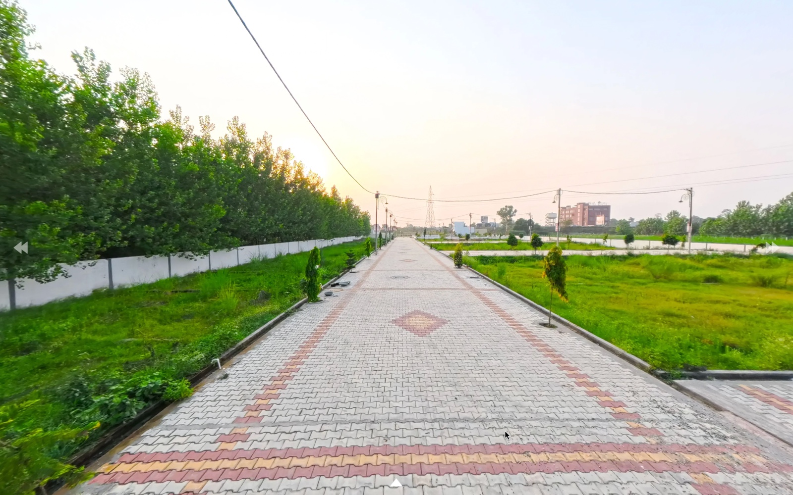 Surrounding Greenery